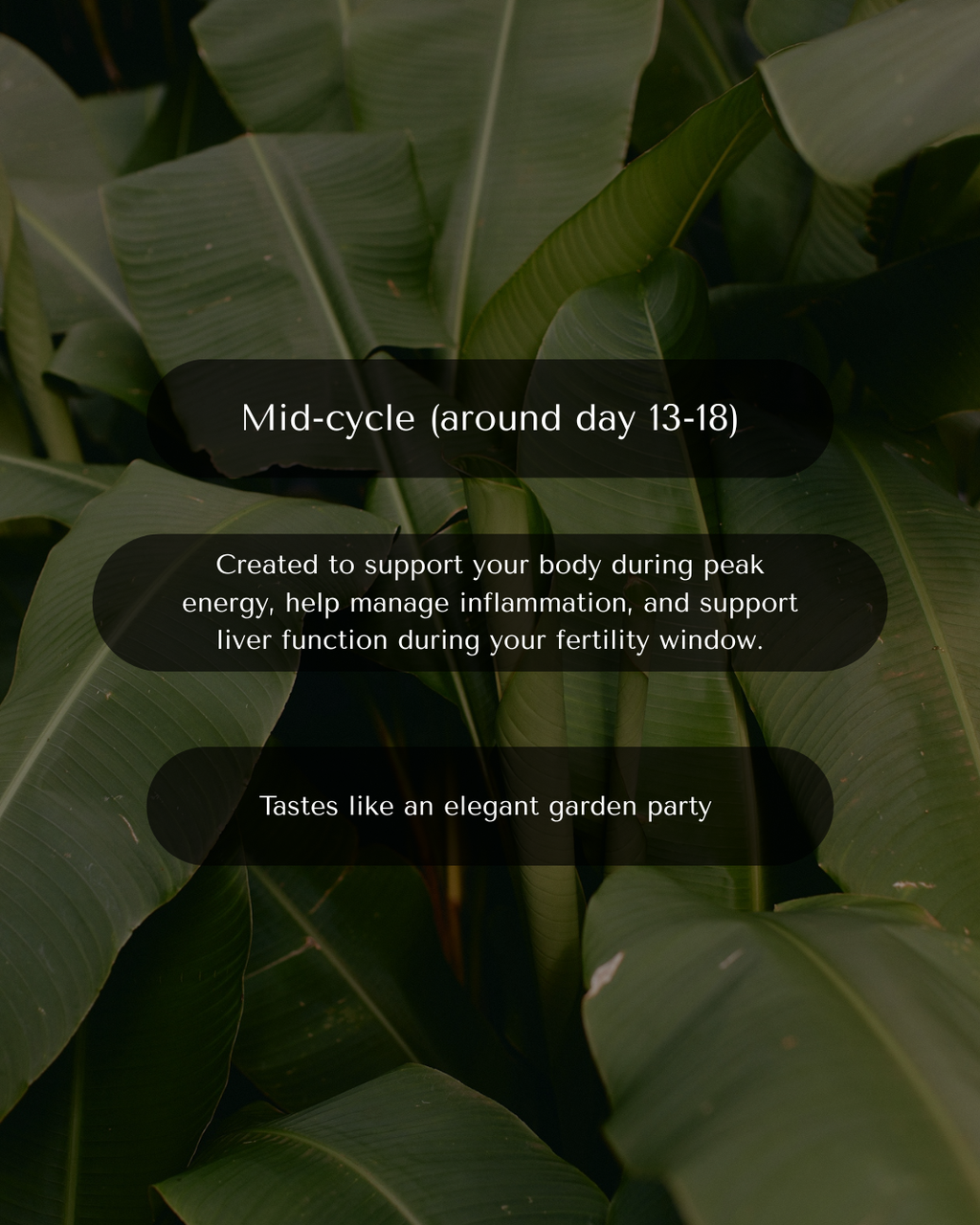 The Cycle-Syncing Collection | 5-Cycle Journey