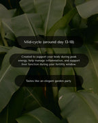 The Cycle-Syncing Collection | 5-Cycle Journey