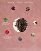 Cycle-Syncing Tea Collection | 2-Cycle Ritual