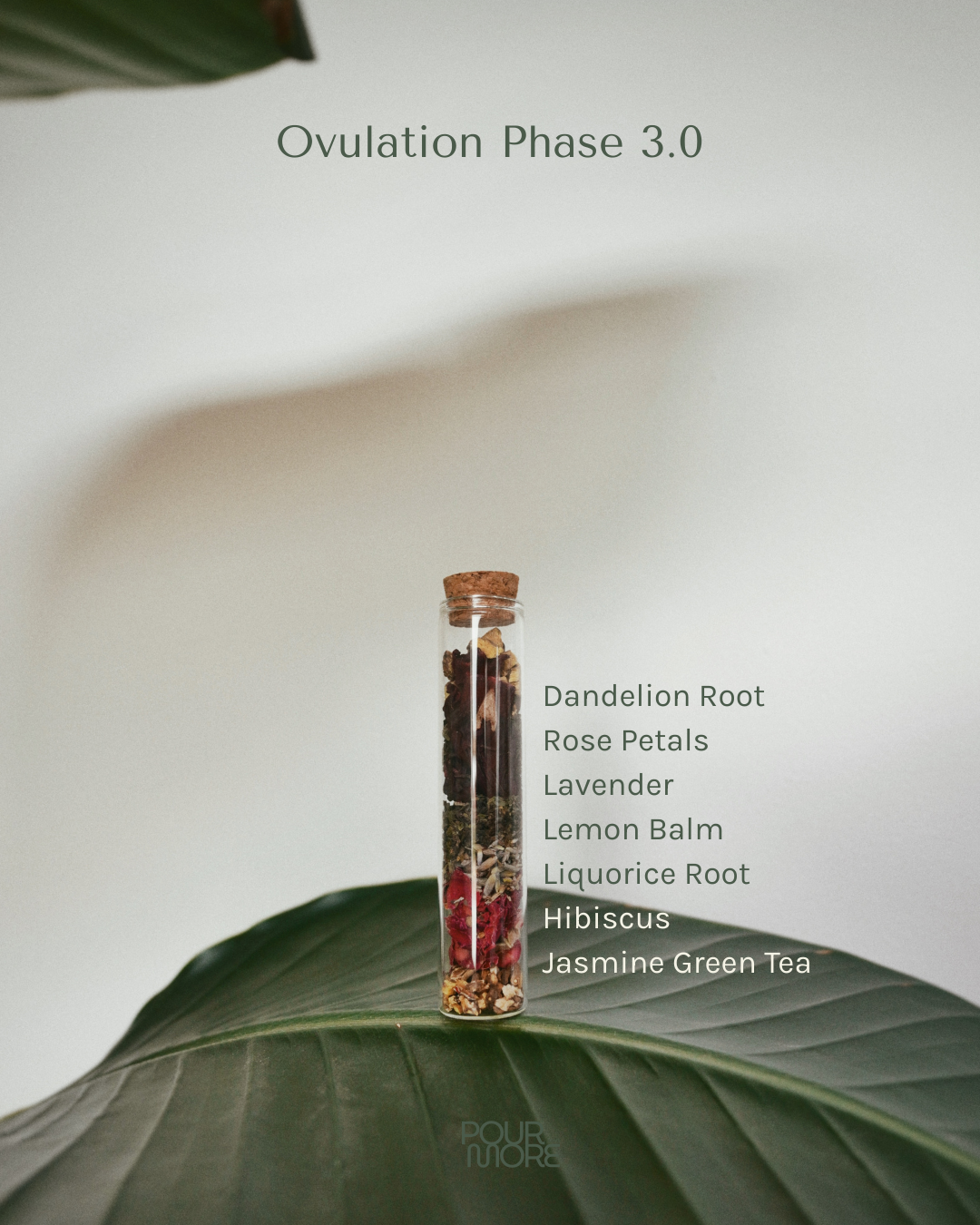 The Glow | Ovulation Phase | Days 14-18