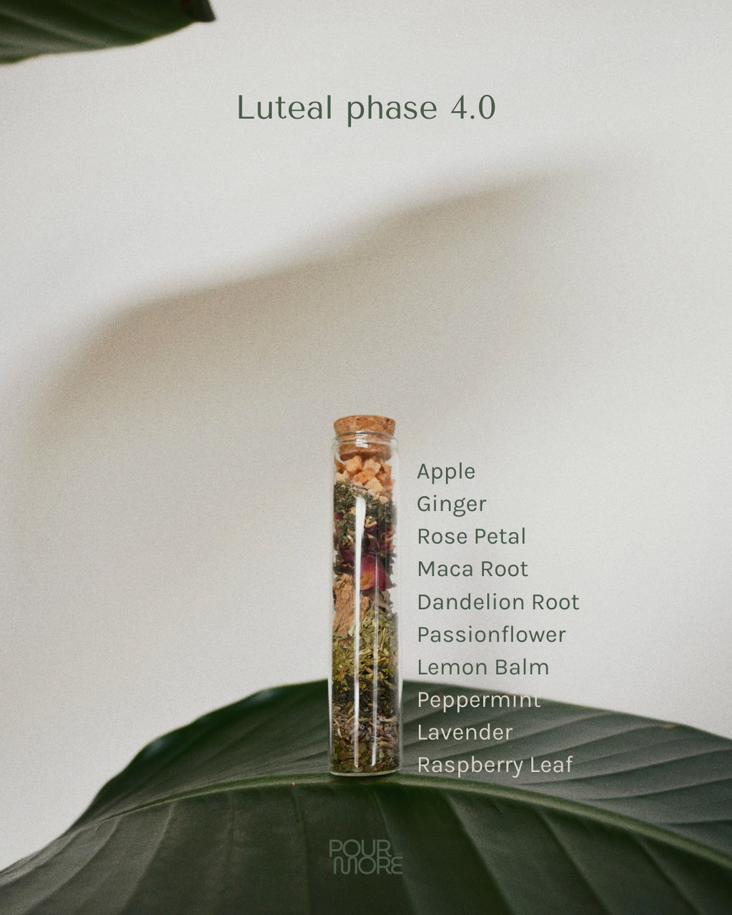 The Hold | Luteal Phase | Days 19-28