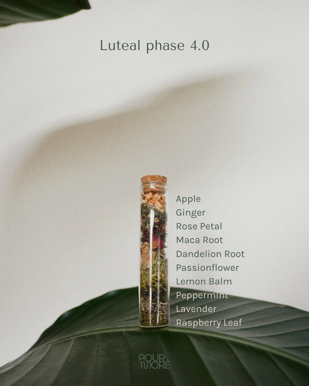 Cycle-Syncing Tea Collection | 2-Cycle Ritual