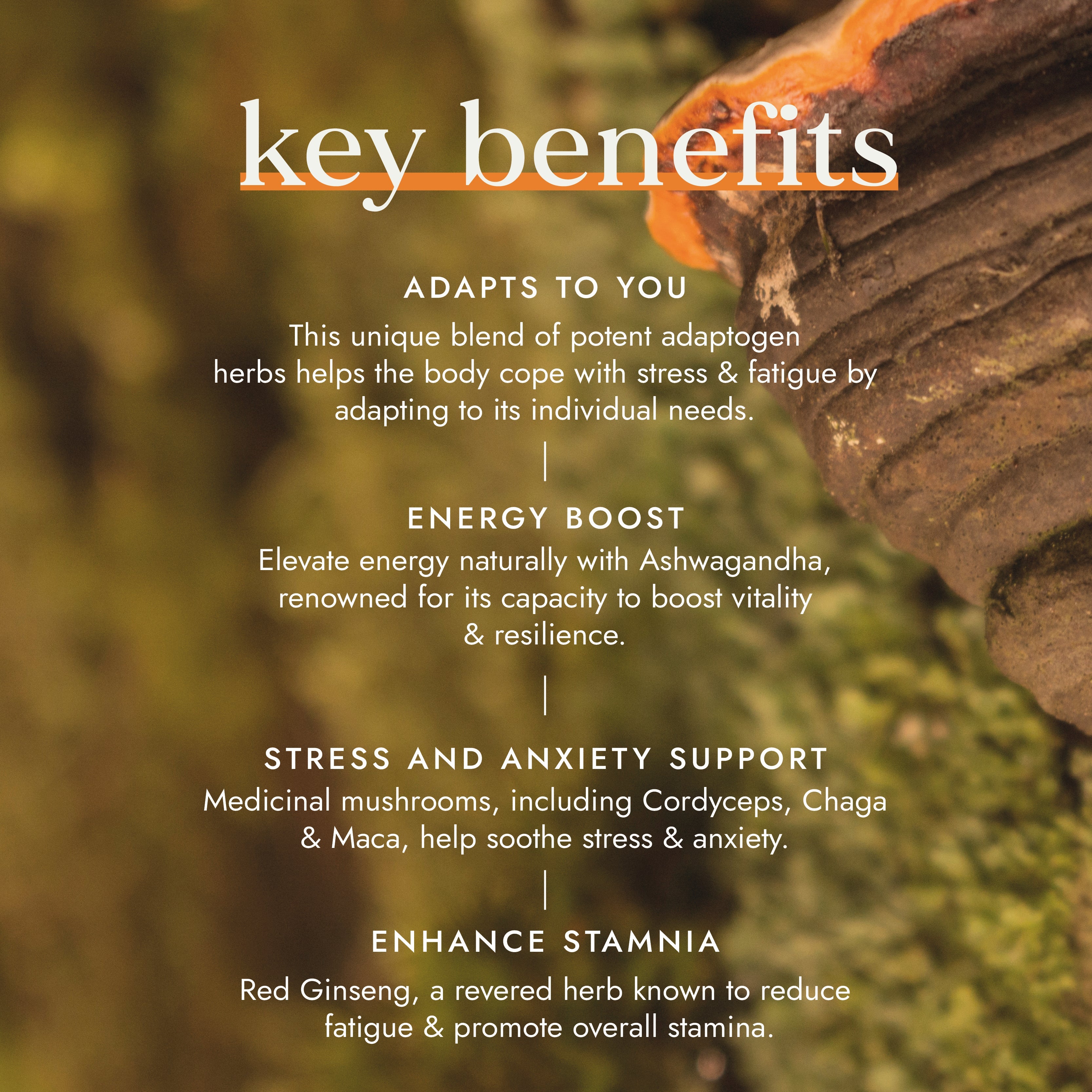 Fushi Adaptogen Energy Blend