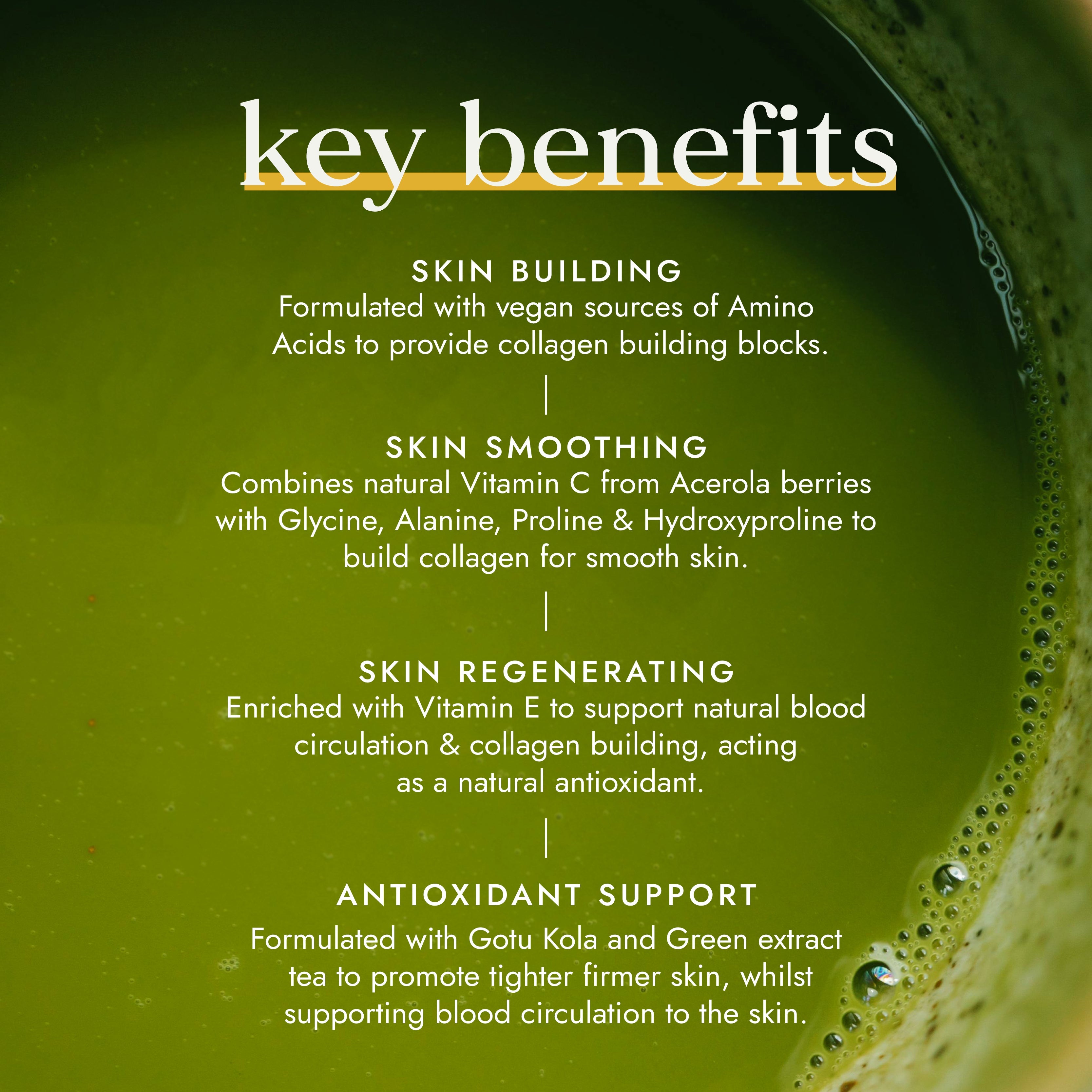 Fushi Vegan Collagen Builder for Daily Beauty Support